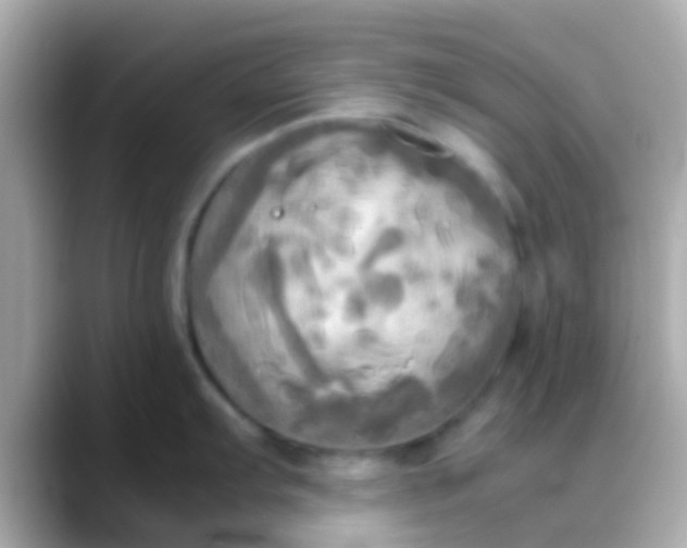 X0000088481103200706051356