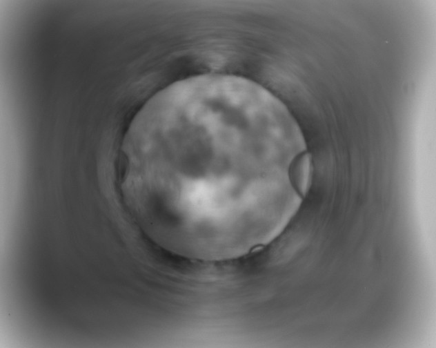 X0000088481105200706051355