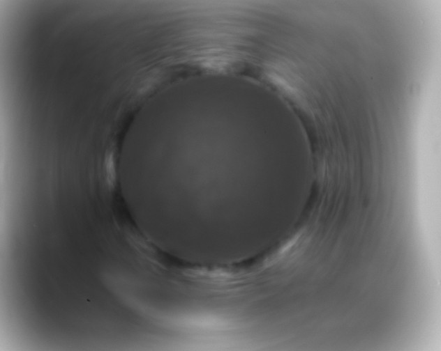 X0000088481106200706051355