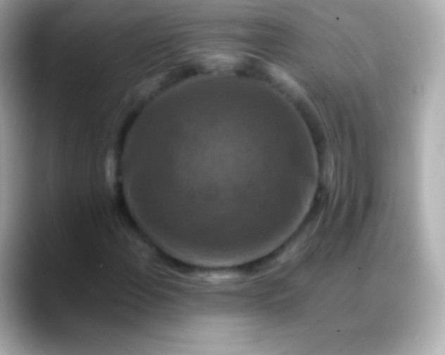 X0000088481108200706051355