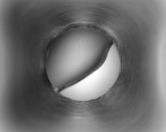 X0000088481110200706051355