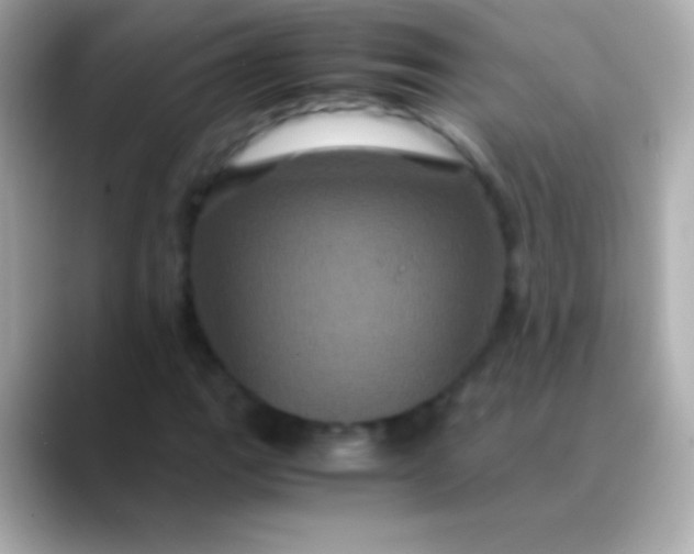 X0000088481111200706051355
