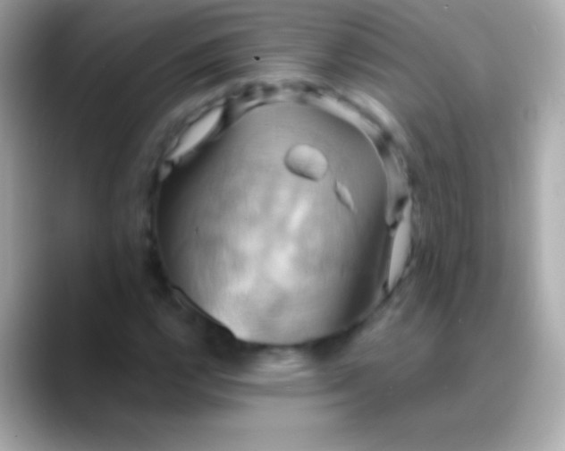 X0000088481112200706051355
