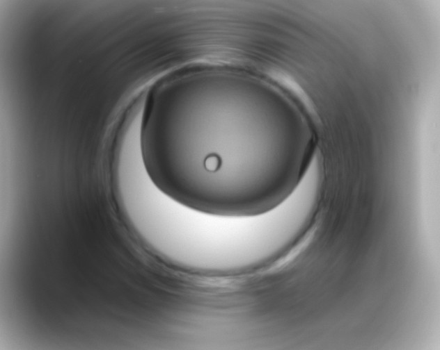 X0000088481114200706051355