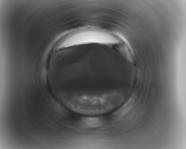 X0000088481115200706051355