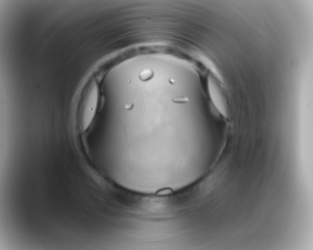 X0000088481116200706051355