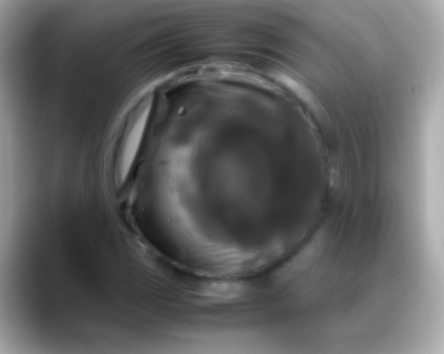 X0000088481117200706051355
