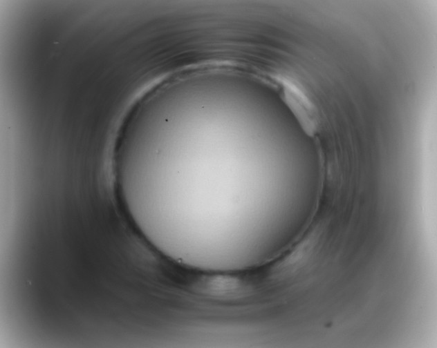 X0000088481119200706051355