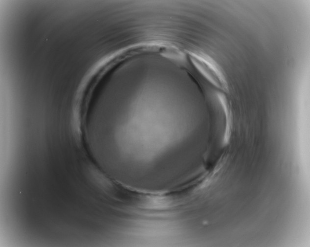 X0000088481120200706051355