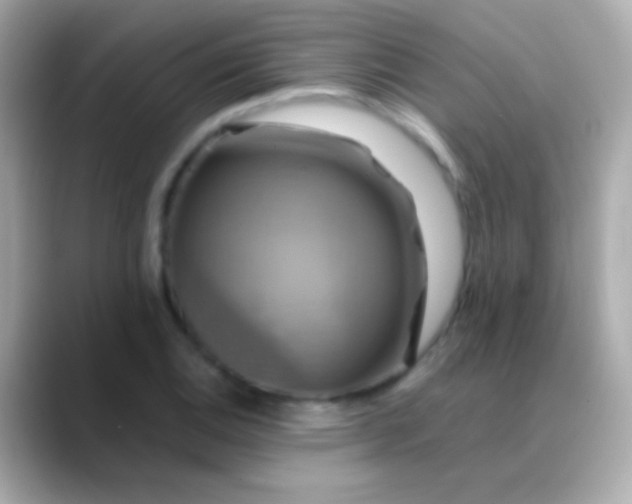 X0000088481124200706051355