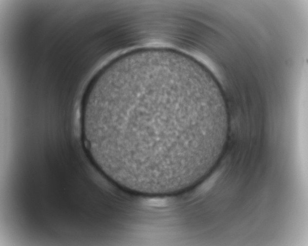 X0000088481126200706051355