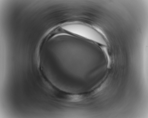X0000088481127200706051355
