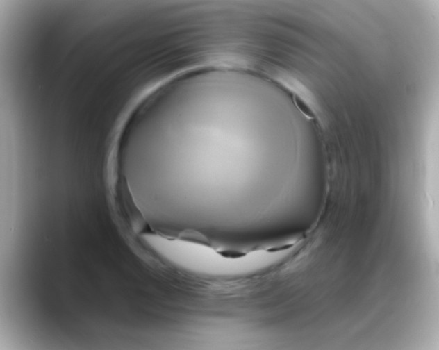 X0000088481128200706051355