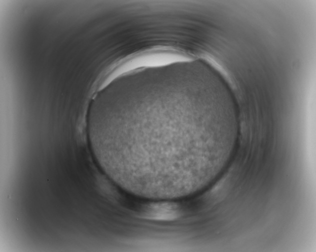 X0000088481129200706051355