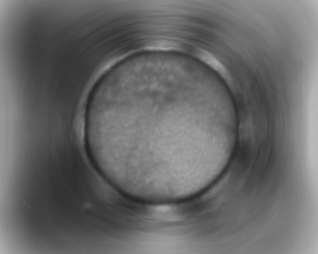 X0000088481130200706051355
