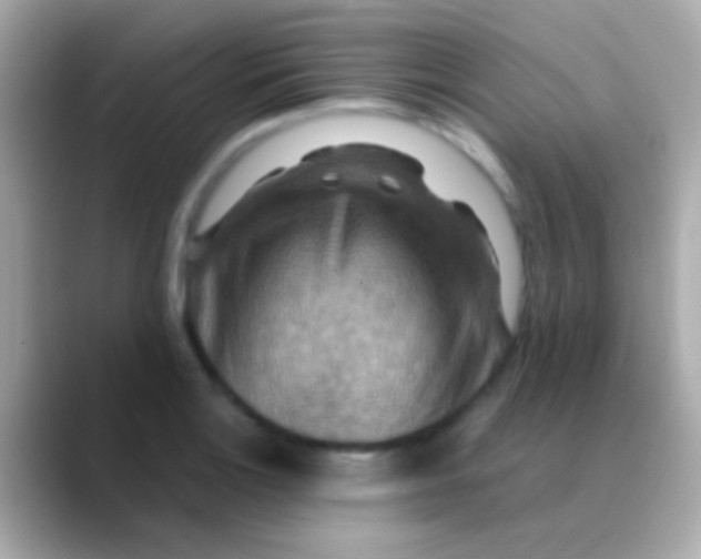 X0000088481132200706051355