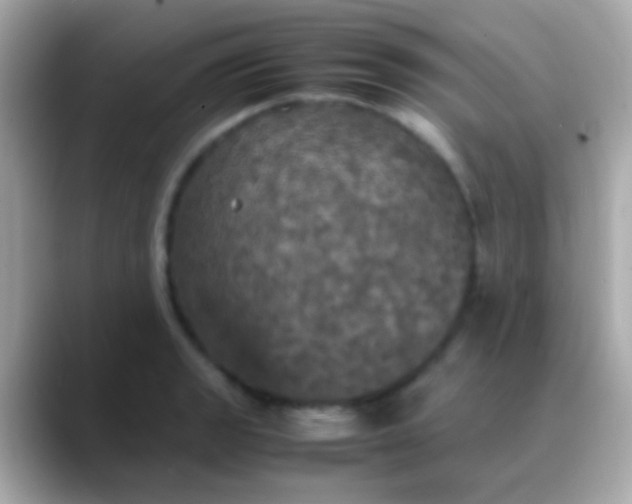 X0000088481133200706051355