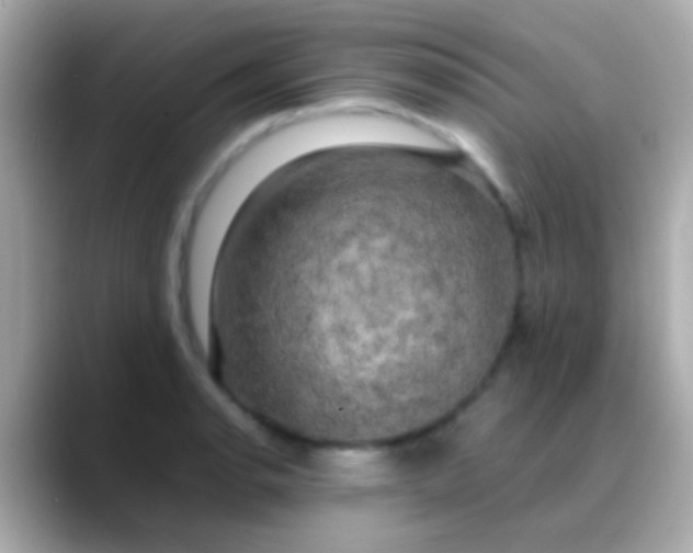 X0000088481134200706051355