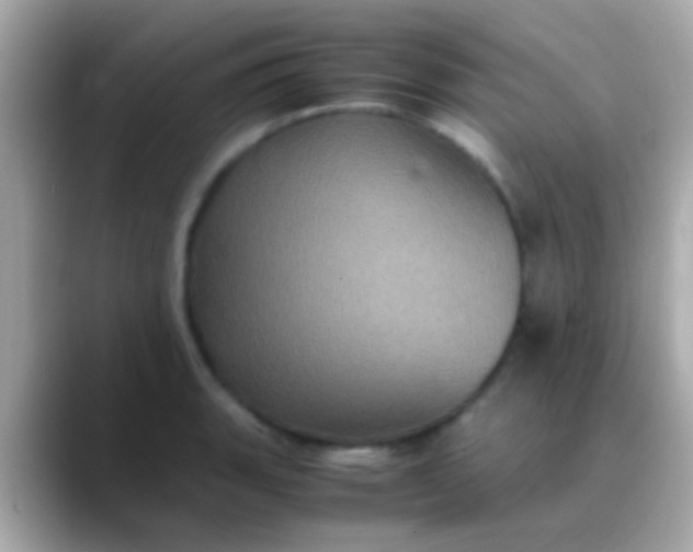 X0000088481135200706051356
