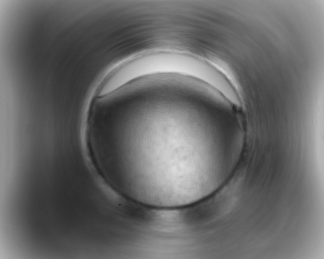 X0000088481136200706051356