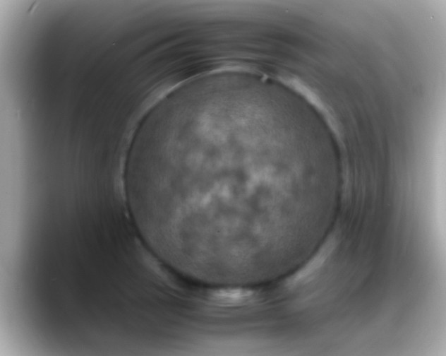 X0000088481137200706051356