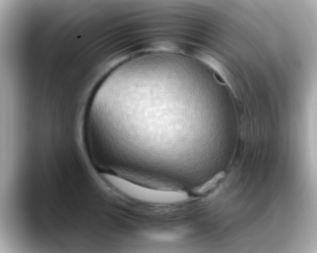 X0000088481139200706051356