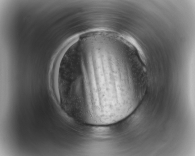 X0000088481140200706051356