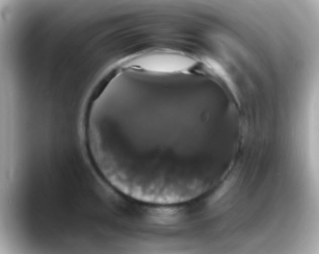 X0000088481141200706051356