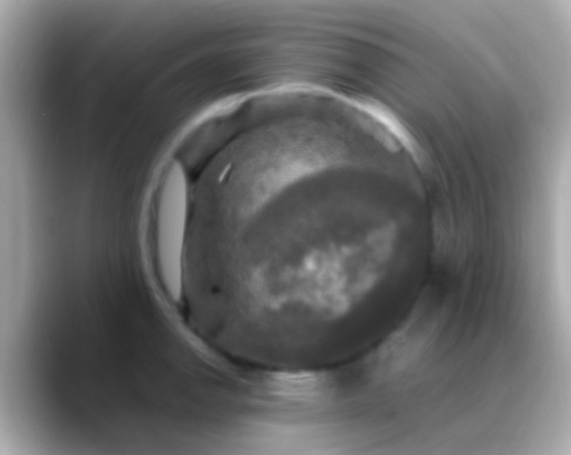 X0000088481142200706051356
