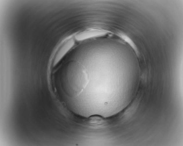 X0000088481146200706051356