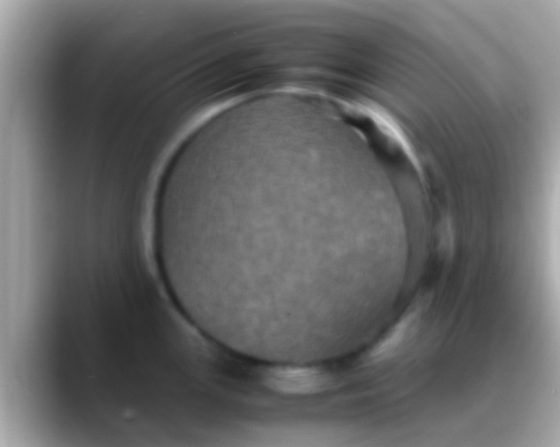 X0000088481147200706051356