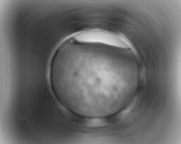 X0000088481149200706051356