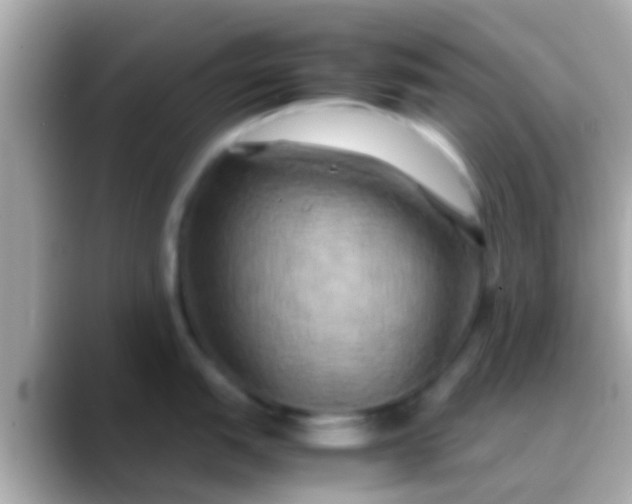 X0000088481151200706051356