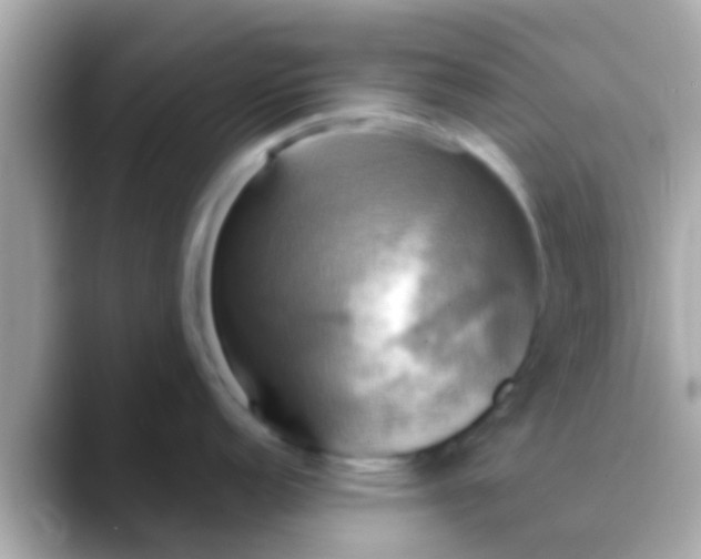 X0000088481152200706051356