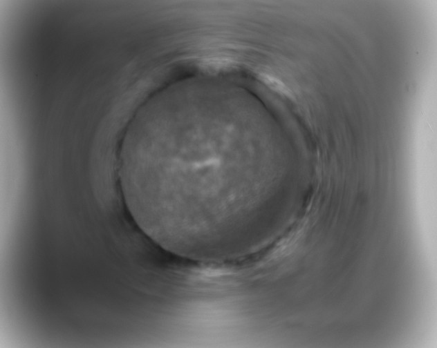 X0000088481153200706051355