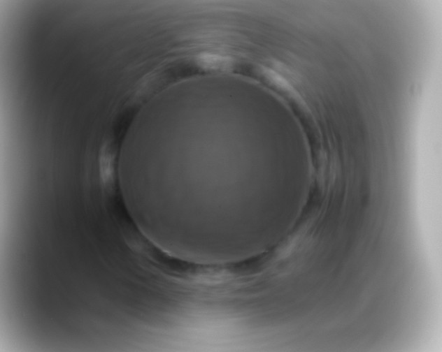 X0000088481154200706051355
