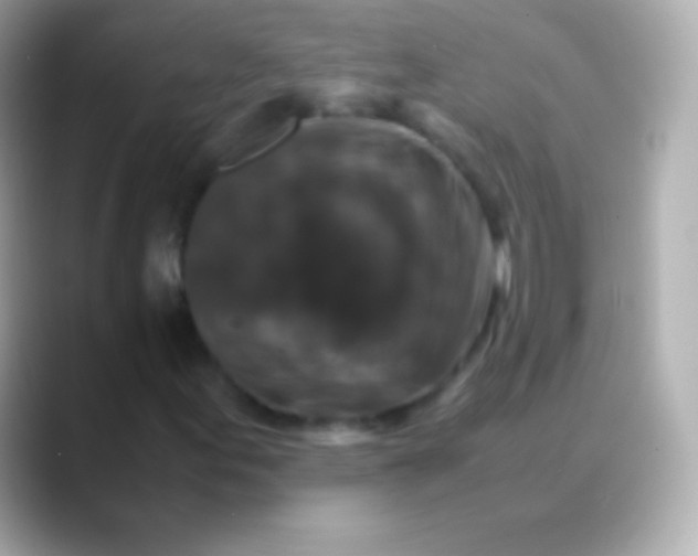 X0000088481155200706051355