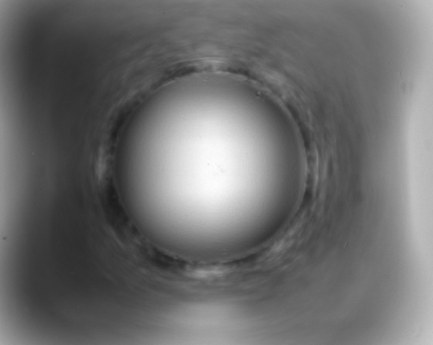 X0000088481157200706051355