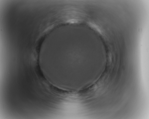 X0000088481158200706051355