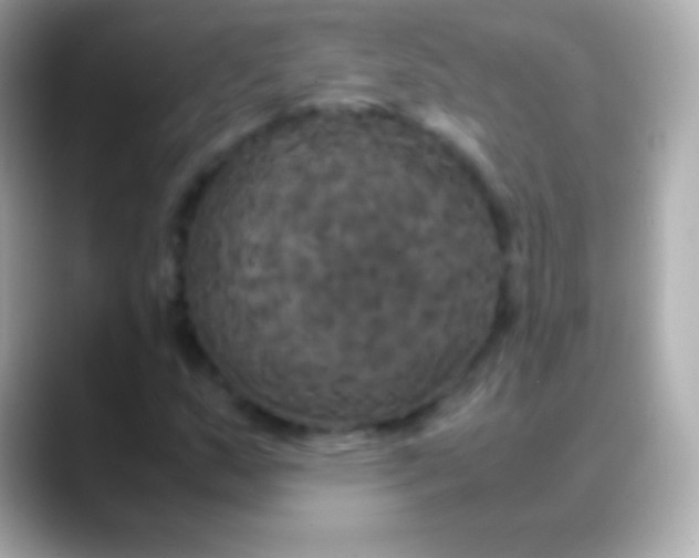 X0000088481159200706051355