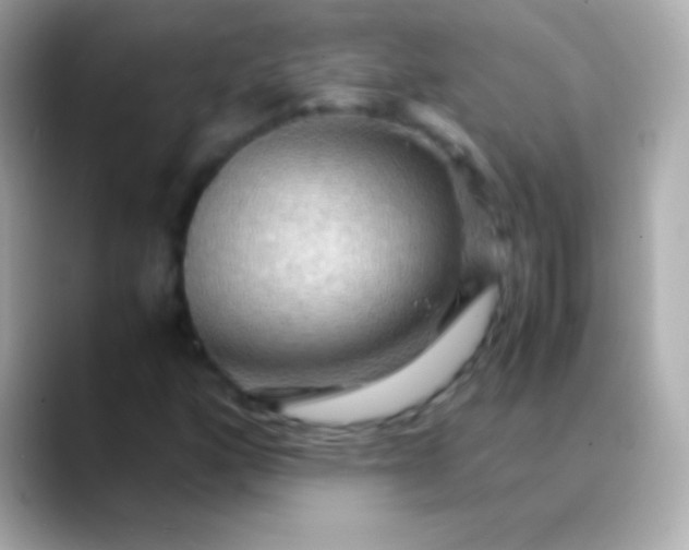 X0000088481160200706051355