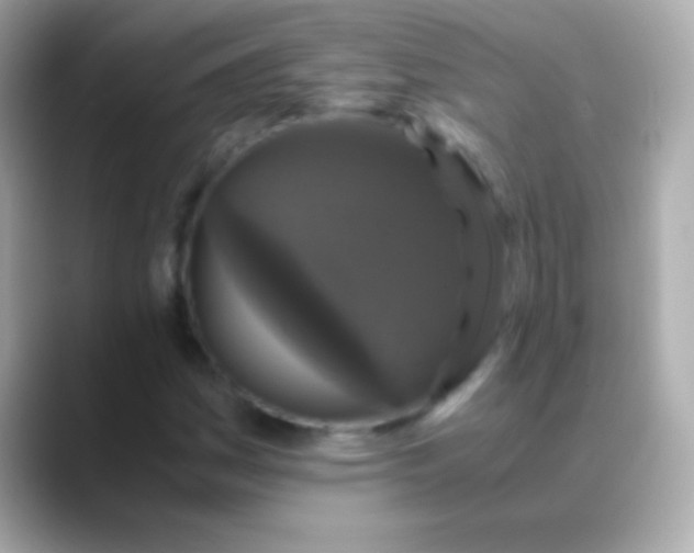 X0000088481161200706051355