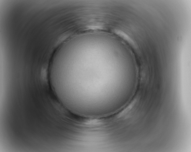 X0000088481162200706051355