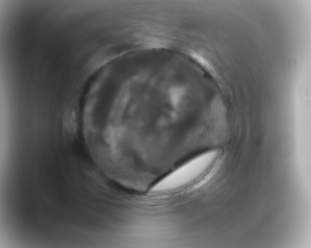 X0000088481163200706051355