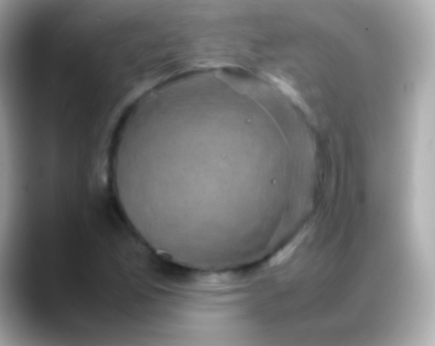 X0000088481165200706051355