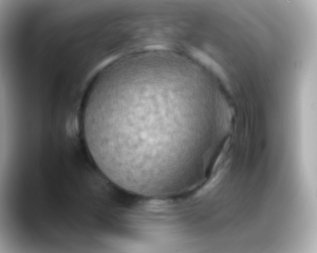 X0000088481166200706051355
