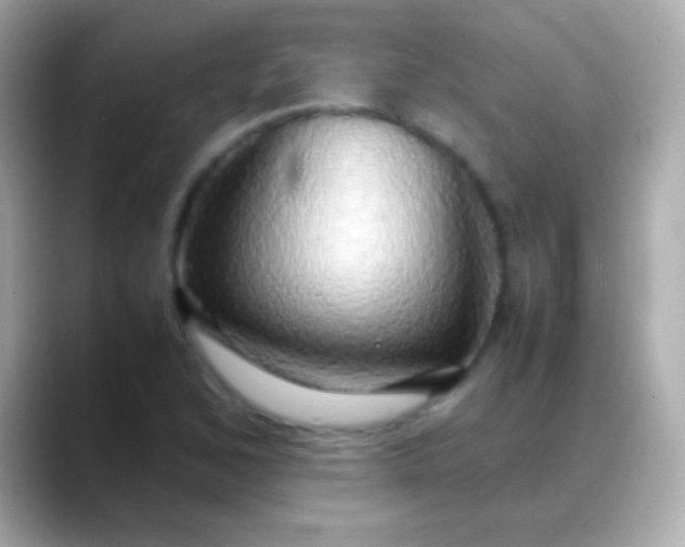 X0000088481168200706051355