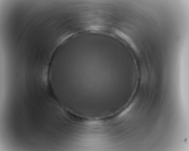 X0000088481170200706051355