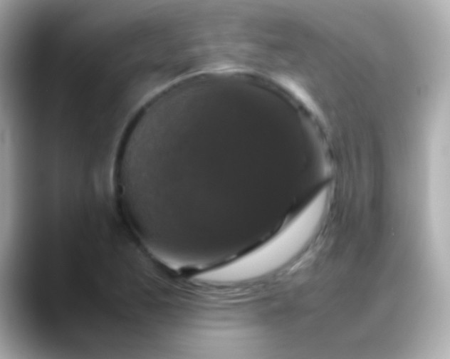 X0000088481173200706051355