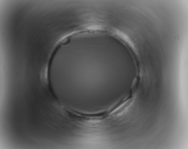 X0000088481174200706051355